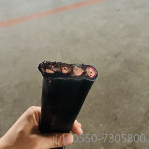 亚洲国产熟妇无码日韩