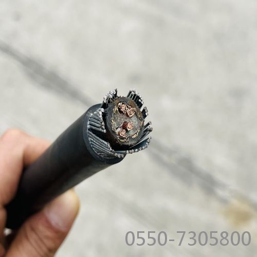 亚洲国产熟妇无码日韩