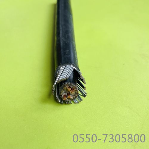 亚洲国产熟妇无码日韩