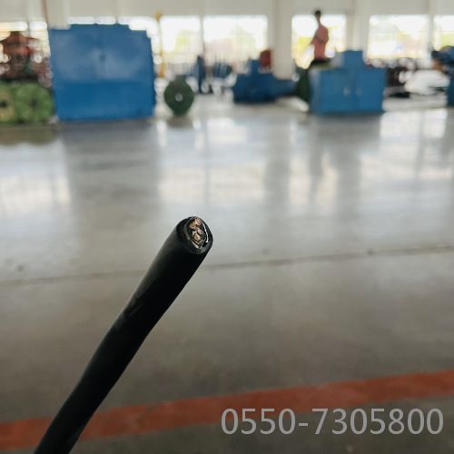 亚洲国产熟妇无码日韩