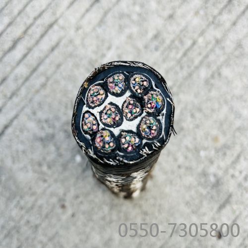 亚洲国产熟妇无码日韩