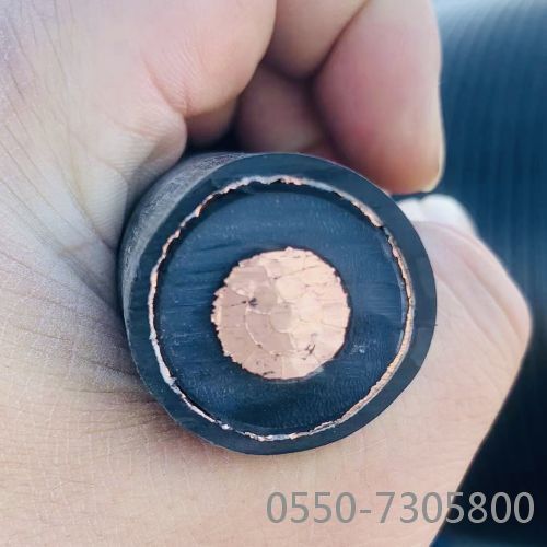 亚洲国产熟妇无码日韩