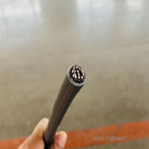 亚洲国产熟妇无码日韩