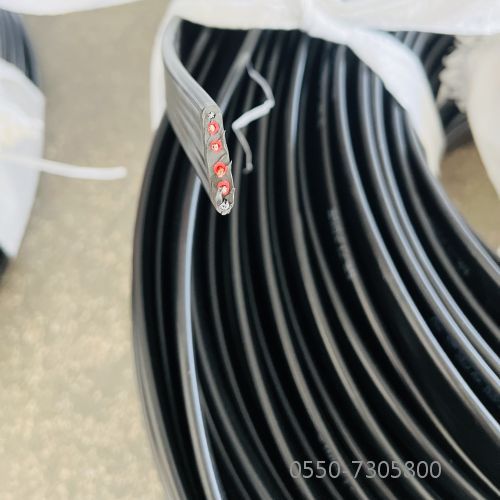 亚洲国产熟妇无码日韩