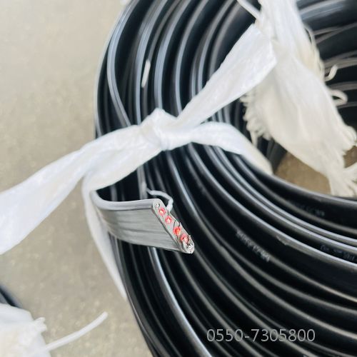 亚洲国产熟妇无码日韩