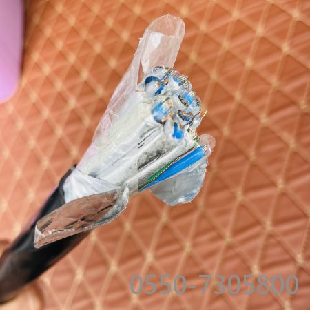 亚洲国产熟妇无码日韩