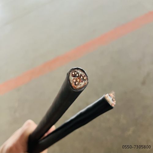 亚洲国产熟妇无码日韩