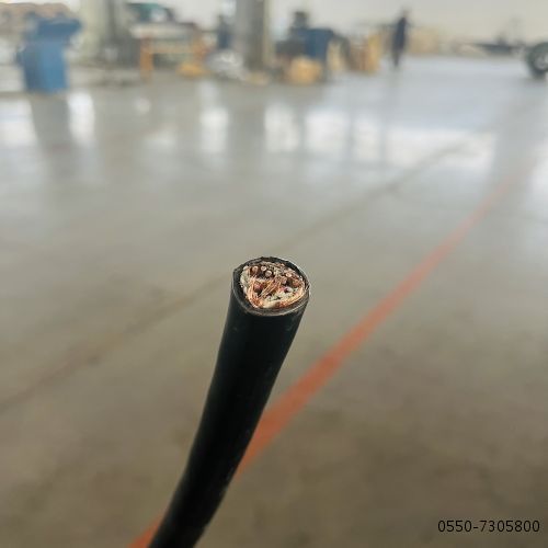 亚洲国产熟妇无码日韩