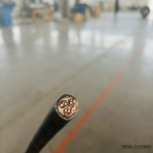 亚洲国产熟妇无码日韩