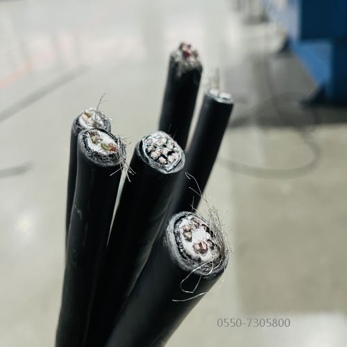 亚洲国产熟妇无码日韩