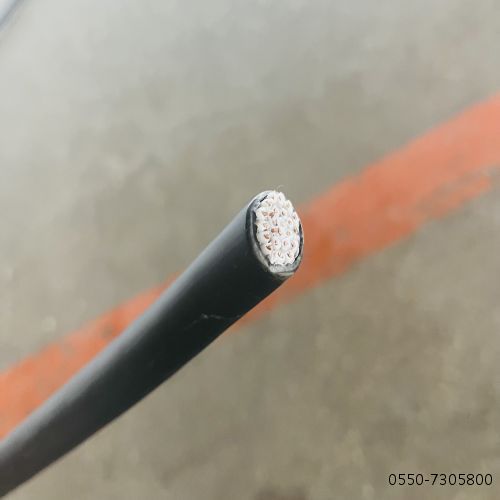 亚洲国产熟妇无码日韩