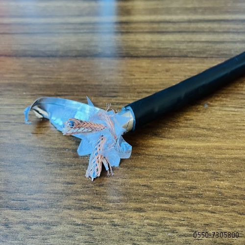 亚洲国产熟妇无码日韩