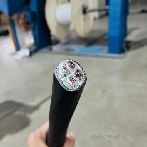 亚洲国产熟妇无码日韩