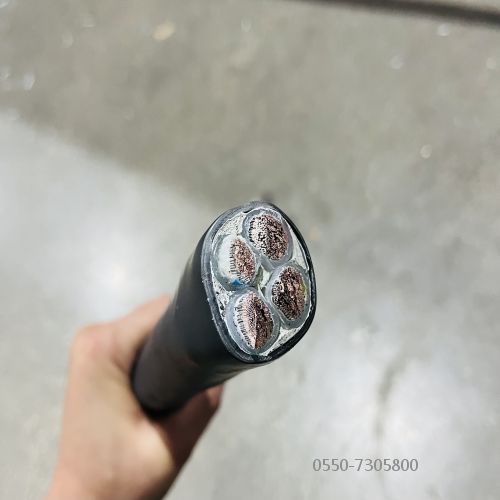 亚洲国产熟妇无码日韩