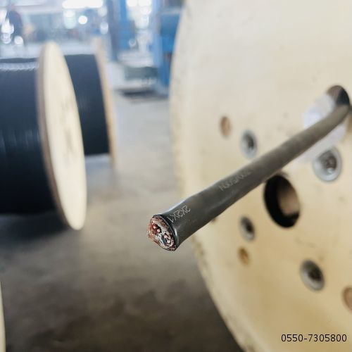 亚洲国产熟妇无码日韩