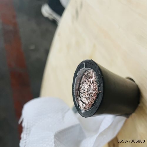 亚洲国产熟妇无码日韩