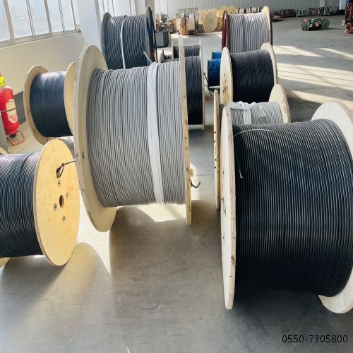 亚洲国产熟妇无码日韩