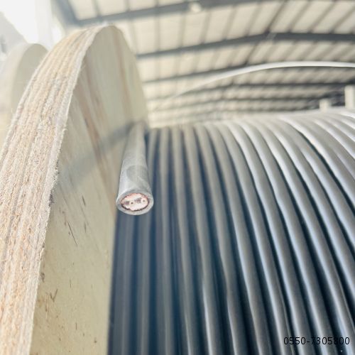 亚洲国产熟妇无码日韩