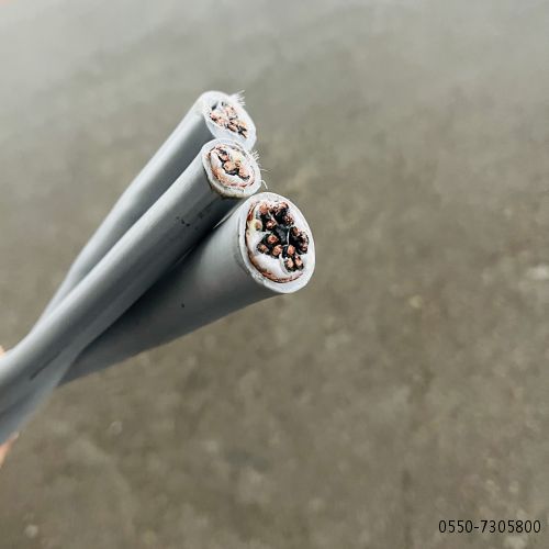 亚洲国产熟妇无码日韩