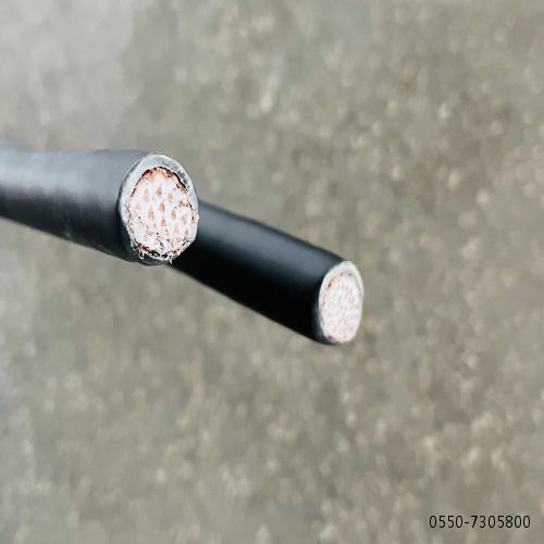 亚洲国产熟妇无码日韩