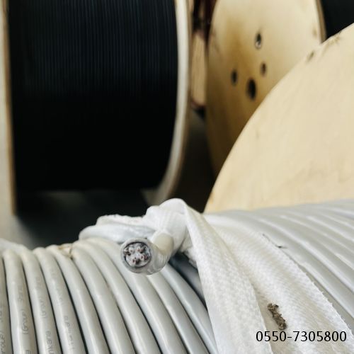 亚洲国产熟妇无码日韩