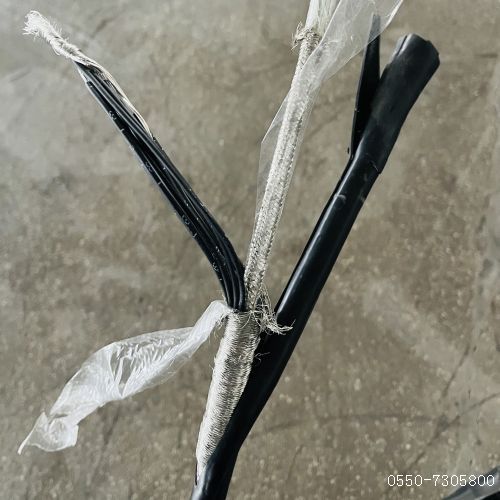 亚洲国产熟妇无码日韩