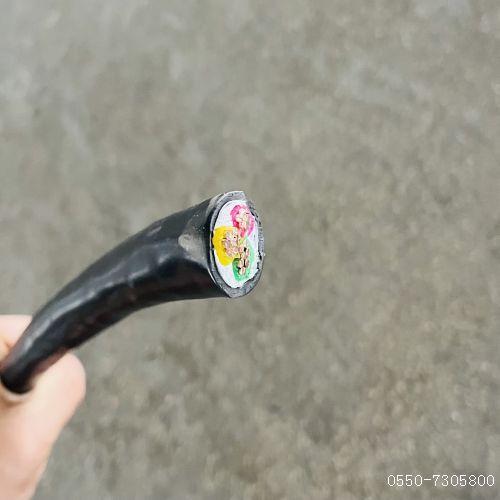 亚洲国产熟妇无码日韩