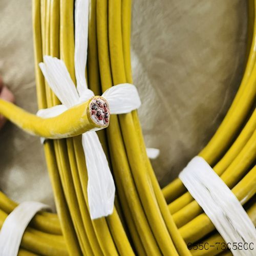 亚洲国产熟妇无码日韩