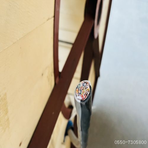 亚洲国产熟妇无码日韩