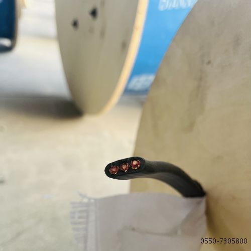 亚洲国产熟妇无码日韩