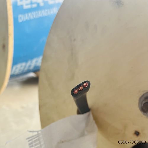 亚洲国产熟妇无码日韩