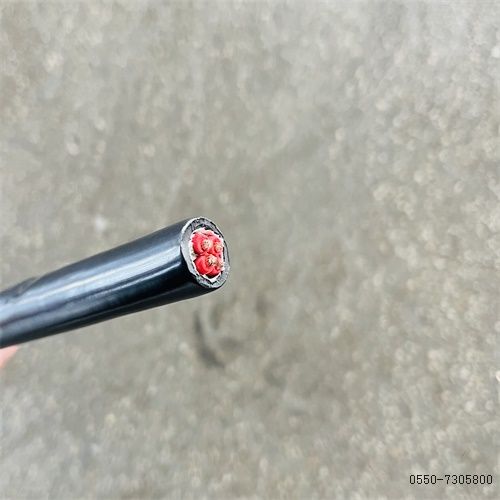 亚洲国产熟妇无码日韩