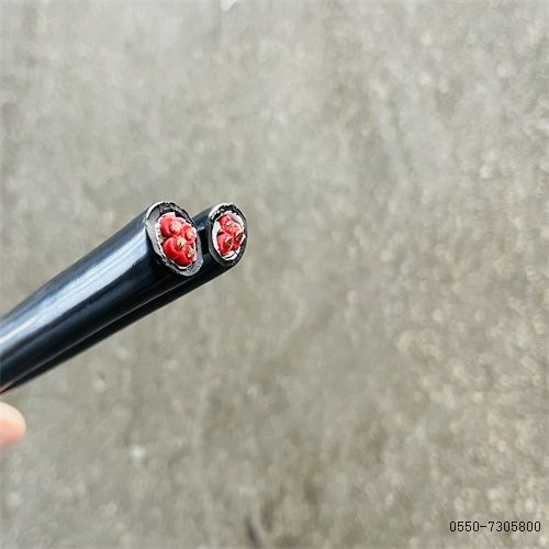 亚洲国产熟妇无码日韩