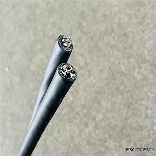 亚洲国产熟妇无码日韩