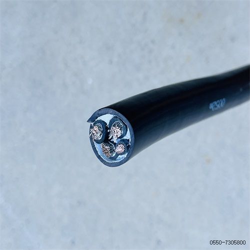 亚洲国产熟妇无码日韩