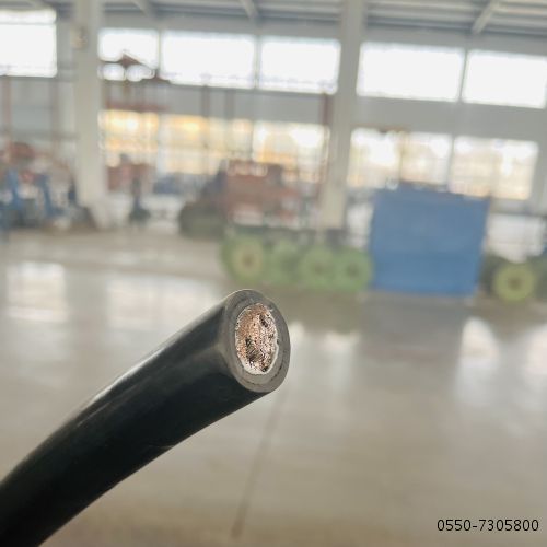 亚洲国产熟妇无码日韩