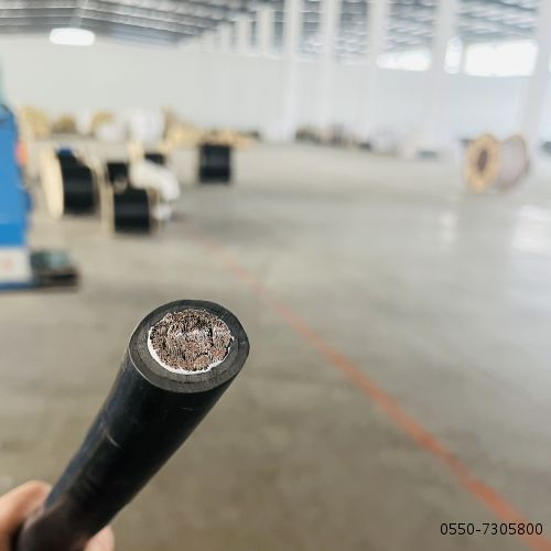 亚洲国产熟妇无码日韩