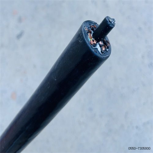 亚洲国产熟妇无码日韩