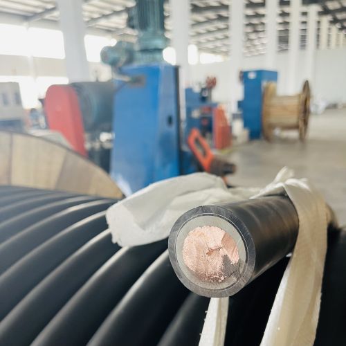 亚洲国产熟妇无码日韩