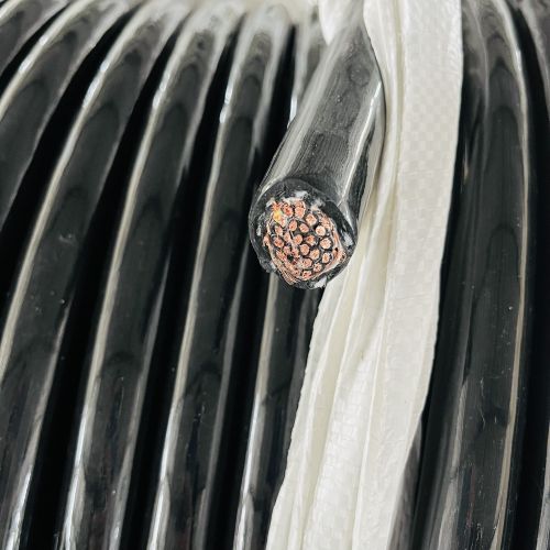 亚洲国产熟妇无码日韩