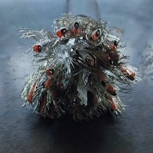 亚洲国产熟妇无码日韩