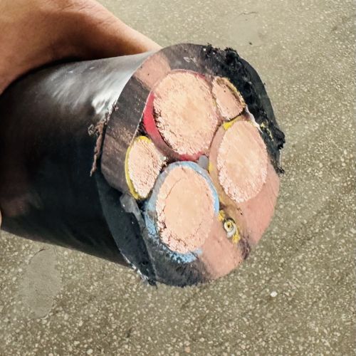 亚洲国产熟妇无码日韩