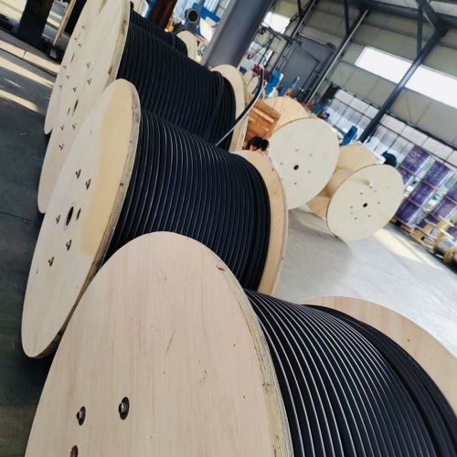 亚洲国产熟妇无码日韩