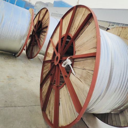 亚洲国产熟妇无码日韩