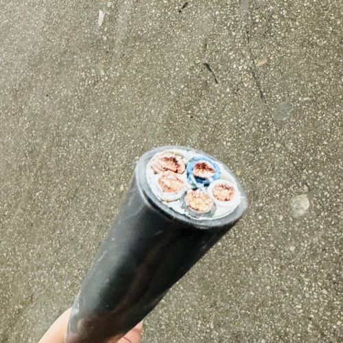 亚洲国产熟妇无码日韩