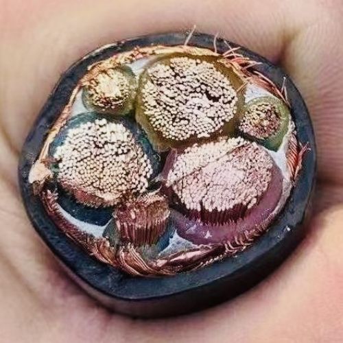 亚洲国产熟妇无码日韩