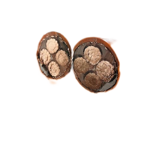 亚洲国产熟妇无码日韩