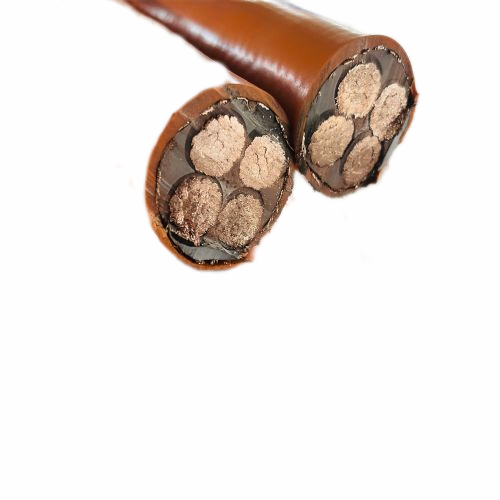 亚洲国产熟妇无码日韩