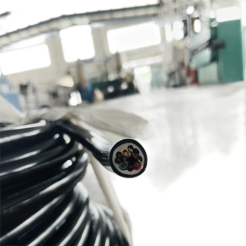 亚洲国产熟妇无码日韩