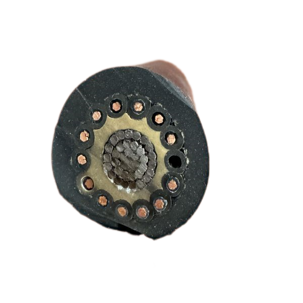 亚洲国产熟妇无码日韩